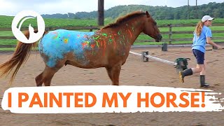 I PAINTED ON MY HORSE!