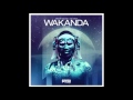 Dimitri vegas  like mike  wakanda wolfpack remix