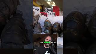 Amazon Exploits Illegal Workers: Exposing the Truth!