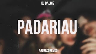 Dj Dalgis - Padariau ( NAURIUX REMIX )