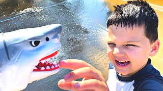 SHARK CHASE AT THE SPLASH PAD! BABY SHARK SONG FOR KIDS PRETEND PLAY with Caleb!
