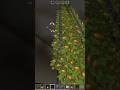 how to make a jhumar in Minecraft part 4 #shorts #minecraft