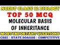 Best MCQ Class 12 Molecular Basis of Inheritance / NCERT Class 12 Biology MCQ