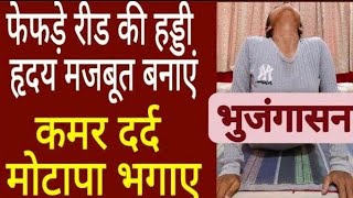 फेफड़े हृदय को मजबूत बनाएं  मोटापा दूर भगाएं #breathingproblem, #backpain #obesity #Bhujangasana