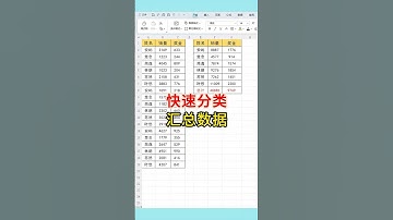 快速分类汇总数据 快速分类汇总数据！#excel #表格 #wps #办公技巧 #文员
