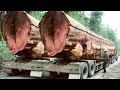 China truck fail compilation! ---Logging wood truck, heavy machinery, dump truck operator skills