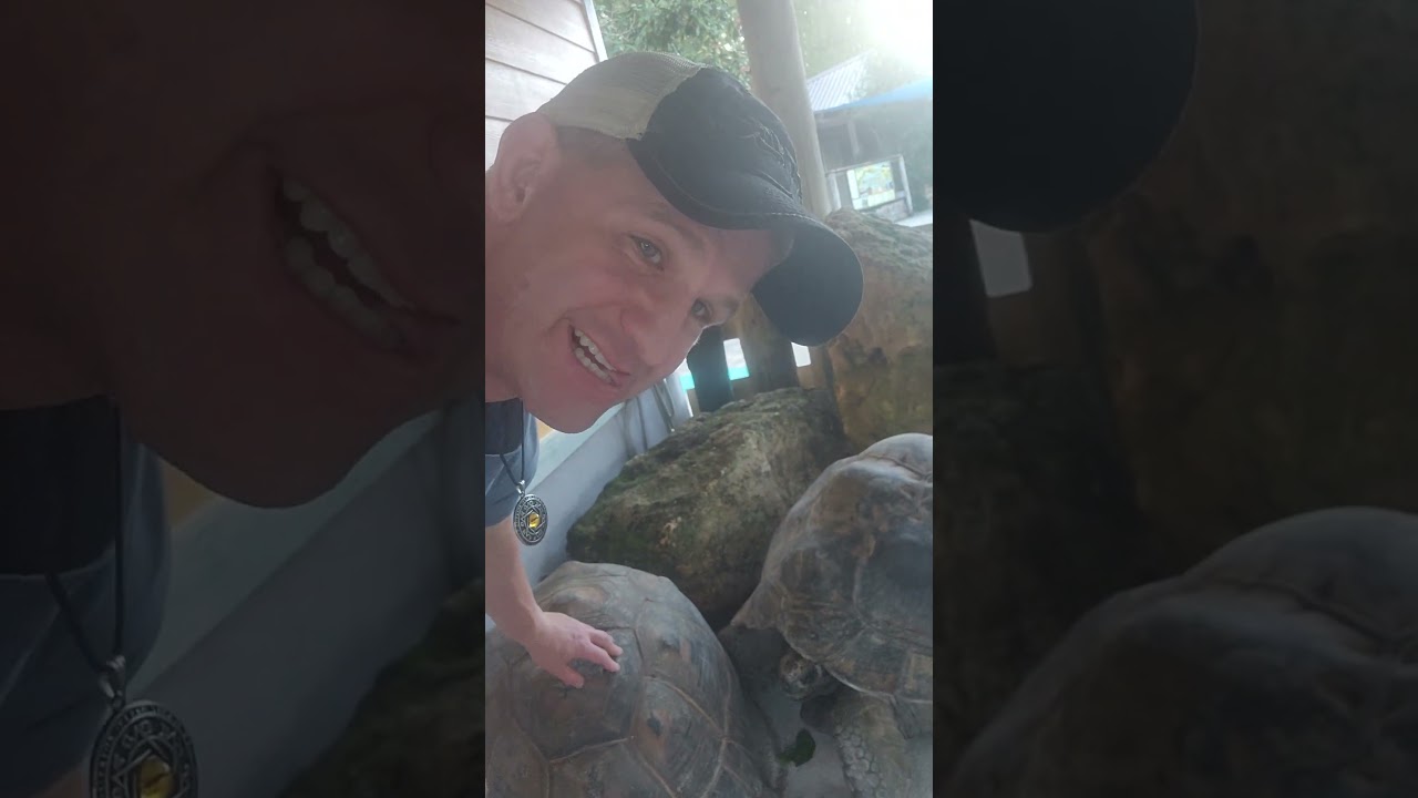 POV: Feeding a 124-Year-Old Galápagos Tortoise 🐢