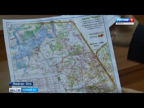 Спортивный туризм может стать одним из базовых видов спорта в Марий Эл