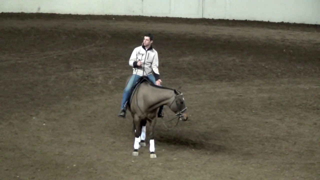 Brendan Wise PA Expo '16  Thursday Demo "Classical Dressage for Modern Disciplines"