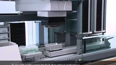 MCA96 Nested DiTi Animation video.wmv