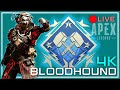 Apex Legends 4k Damage Game on BLOODHOUND