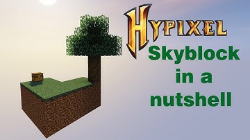 HYPIXEL SKYBLOCK IN A NUTSHELL