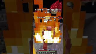 Found these strange horses in 2b2t 💀 | #2b2t #minecraft #shorts