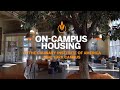 Housing at cias new york campus