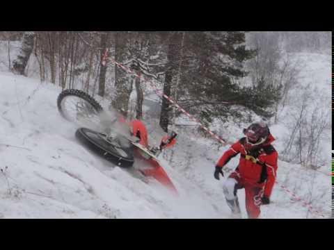 Медведь Шатун 2016