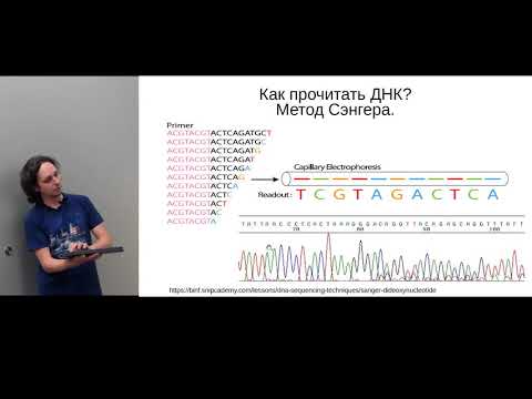 Научно-популярная лекция "Методы секвенирования ДНК" Зубарицкого А.В. ФИЦ Биотехнологии РАН