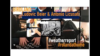 Birdland - Weather Report by Ludovic Beier & Antonio Licusati / Official