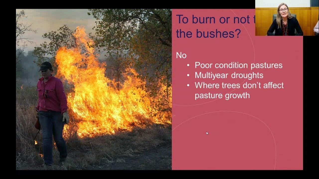 Do we really need to burn the bushes? YouTube