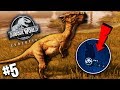 🦖 *NOWA* WYSPA! WALKA Z ŻYWIOŁAMI! | Jurassic World Evolution #5