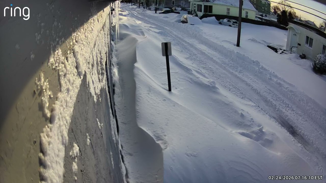 Harris st morning view 