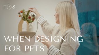 Aesthetic Home Decor Ideas That Are Pet-Friendly | Interior Design Tips by Teal & Scott 217 views 5 months ago 5 minutes, 24 seconds