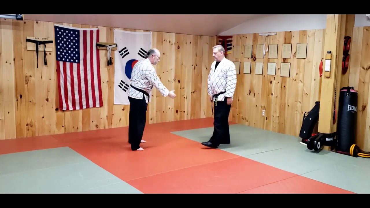 Hapkido Flow Drills