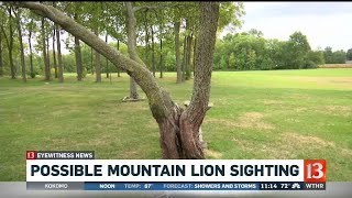 Possible mountain lion sighting Cougar Sightings In Indiana