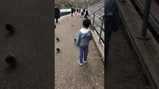 Cute boy with pigeons
