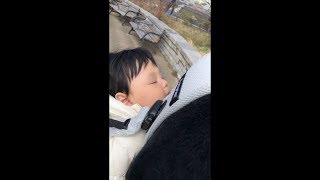 赤ちゃん初めてのおんぶでお散歩したら寝ちゃった【ラブラドールと赤ちゃん】Labrador & Baby