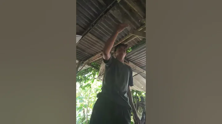 Ginagawa mo 00