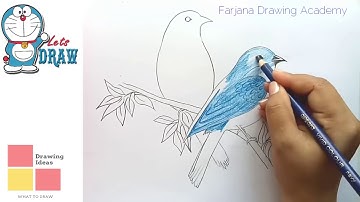 How to Draw Eastern Bluebirds Step By Step -Pencil Drawing of Birds