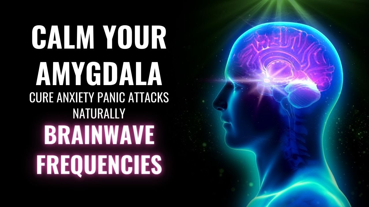 Calm Your Amygdala  Cure Anxiety Panic Attacks Naturally  Brainwave Frequencies  Amygdala Music