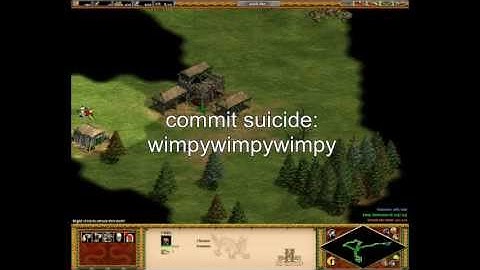 Age Of Empires II: HD Edition Cheats Codes (AOE)