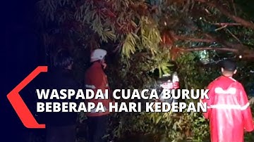 Indonesia Masih Berpotensi Cuaca Buruk, BMKG Imbau Warga Waspadai Hujan Deras dan Angin Kencang