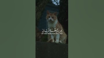 قَالَ وَمَنْ يَقْنَطُ مِنْ رَحْمَةِ رَبِّهِ إِلا الضَّالُّونَ  ll هزاع البلوشي ll سورة الحجر 🌿