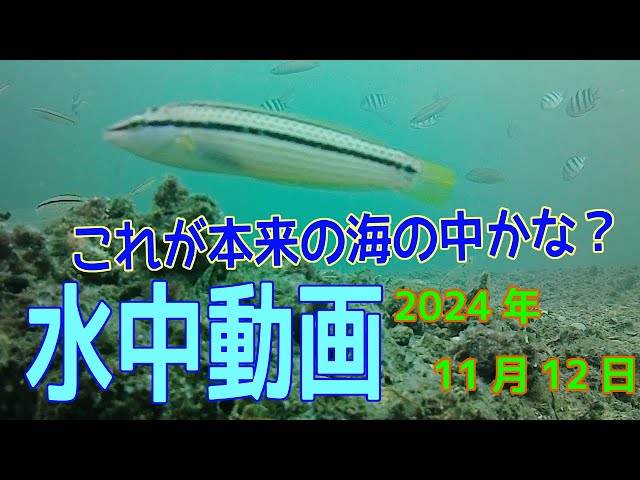 FRP水槽作り】水量約三トンオシャレな生け簀が出来上がりました
