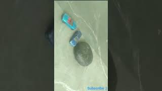 Stop motion drift race ( hotwheels ) #stopmotionanimation #drift #racing #car #hotwheels  #initiald