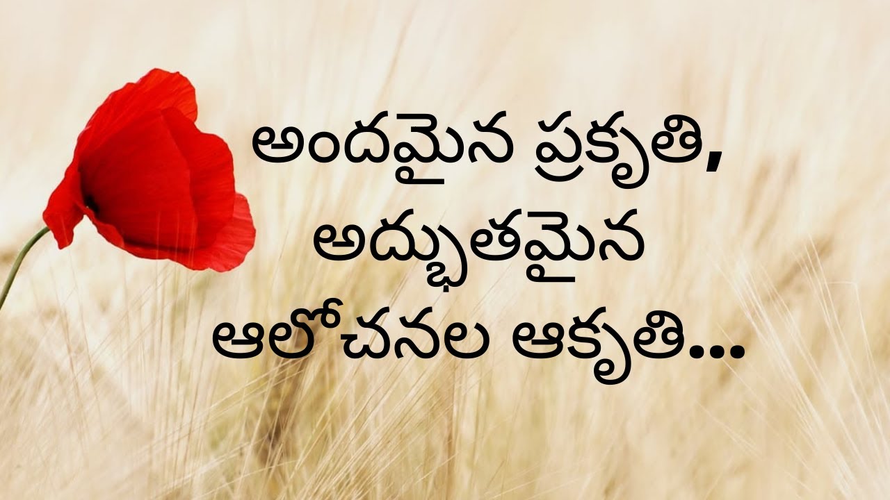 essay writing about nature in telugu