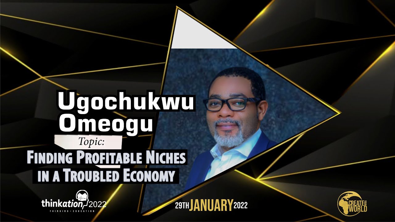 Ugochukwu Omeogu – Finding Profitable Niches in a Troubled Economy