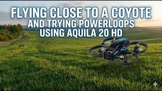 Flying close to a Coyote and trying powerloops using Aquila 20 HD #aquila20hd #drone #betafpv #fpv