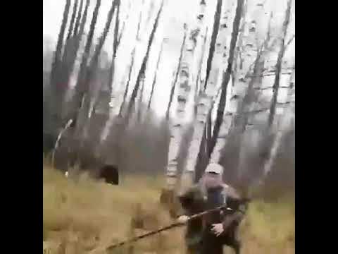 Охотник убегая от медведя после осечки ружья. Охотник гифка. Охотник. Охотник убегая от медведя после осечки ружья. Охотник в лесу.