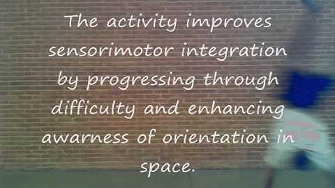 Sensorimotor Integration (Lab 8)