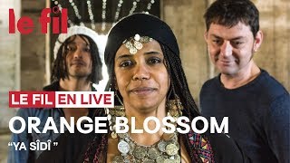 ORANGE BLOSSOM - Ya Sîdî // Live @ le fil