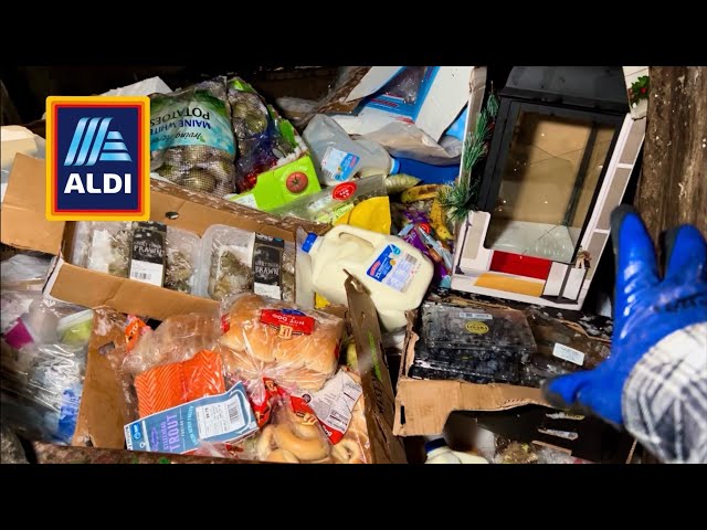 Dumpster Diving Aldi # 68 Free Grocery Shopping! class=