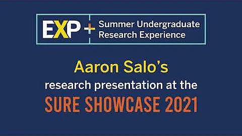 2021 Summer Undergraduate Student Researcher, Aaro...
