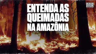 Entenda as queimadas na Amazônia