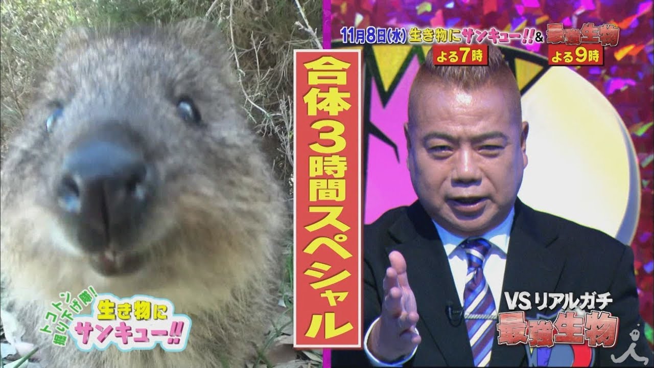 生き物にサンキュー Vsリアルガチ最強生物 合体3時間スペシャル Tbsテレビ