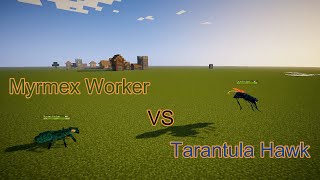 Tarantula Hawk vs Myrmex Worker
