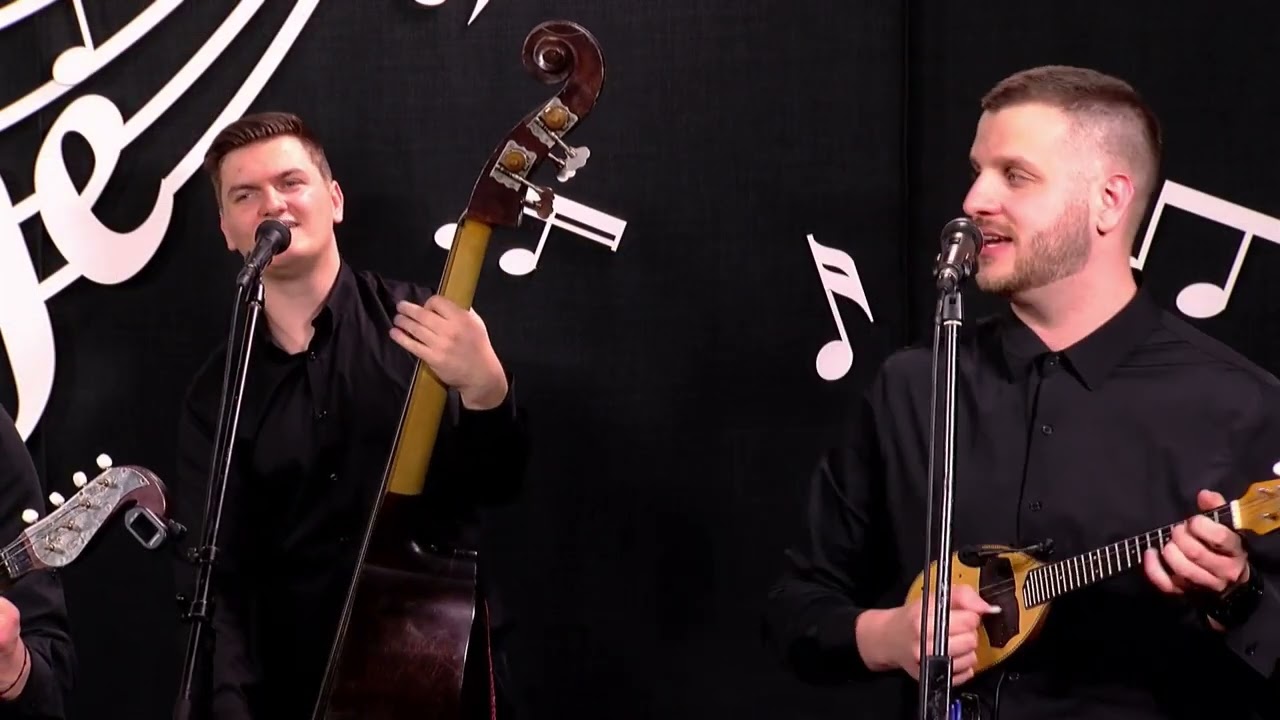 Zlatna polja - Šamačka šošana