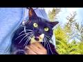 🔴猫とナップスライム😪😼💨HELLO Cat Water slime ASMR